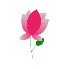 pink lotus flower icon over white background. colorful design.  illustration