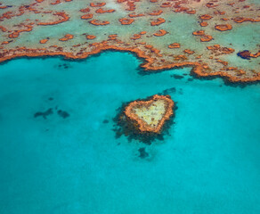 Heart Reef in the Whitsundays Queensland Australia. Famous reef that is shaped like a heart. The...