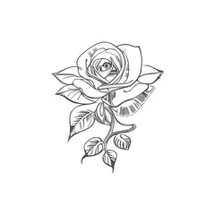 The Beautiful Roses Coloring Book is great for both adults and children.