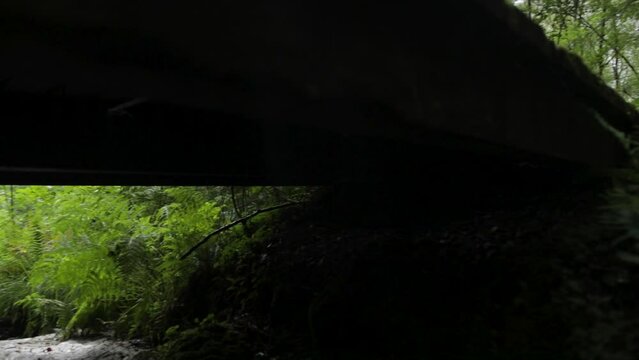 under a wooden bridge of remote Scottish woodland stream