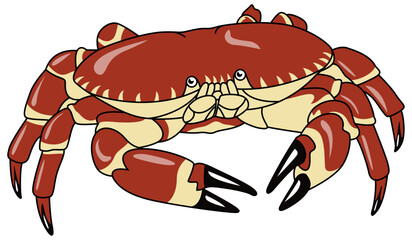 crab