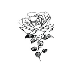 The Beautiful Roses Coloring Book is great for both adults and children.