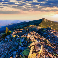Summer morning Carpathian mountain top view from stony summit of Ihrovets Mount (Gorgany, Ukraine).