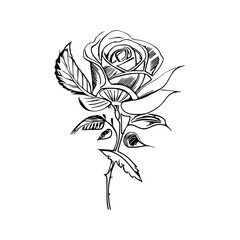 The Beautiful Roses Coloring Book is great for both adults and children.