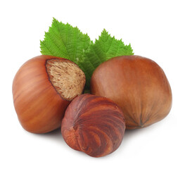 Hazelnuts isolated on white background