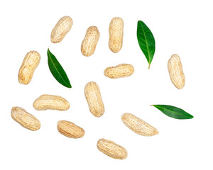 Peanuts isolated on a white background, top view
