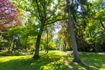 Grüne Wiese in einem Park