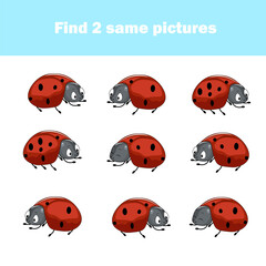 Find the same pictures for kids, educational game. Find identical pairs of ladybugs. Insect theme.