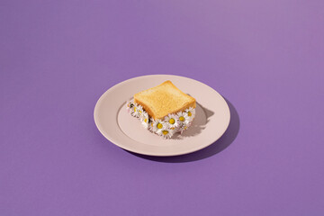 Toasted bread sandwich filled with fresh daisy flowers served on plastic plate on purple background. Minimal spring or summer concept.