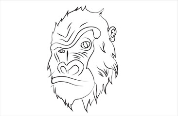 head of monkey illustration