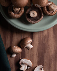 mushroom 5