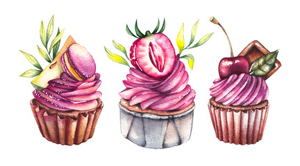 Watercolor cupcakes on a white background