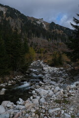 Fototapeta na wymiar Cascades of a water stream in mountains