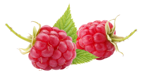 Ripe raspberries cut out