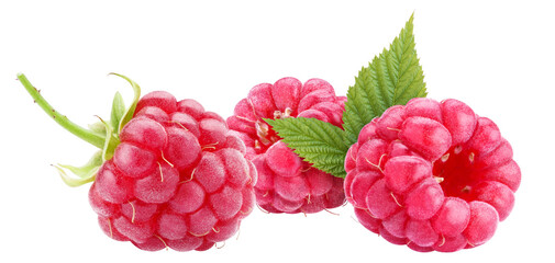 Ripe raspberries cut out