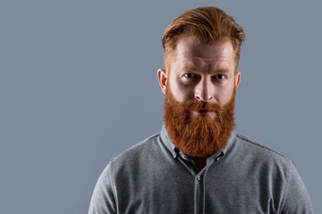 Portrait of Irish man. Bearded man with unshaven face. Man with red beard studio isolated on grey