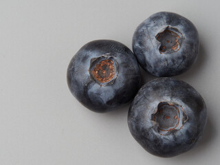 Fresh organic blueberries in a bowl closeup view