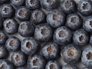 Fresh organic blueberries in a bowl closeup view