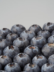 Fresh organic blueberries in a bowl closeup view