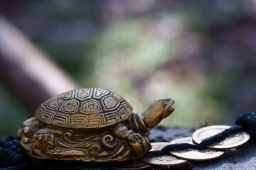 A metal turtle and Chinese coins. A religious symbol.