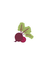 drawing whole beetroot with leaf and beetroot cut in half part, hand drawn vegetable, vegetable on transparent background