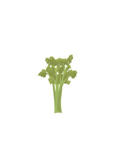 Branch celery illustration, vegetable minimalist drawing in isolated image.