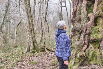 Senior woman looking at old poplar tree in relic forest.