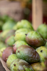 tropical fruits, green mango fruits, on the counter of a roadside shop, selective focus