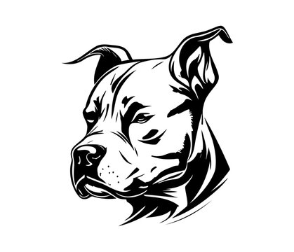 Apbt Bilder – Durchsuchen 10,178 Archivfotos, Vektorgrafiken und Videos ...