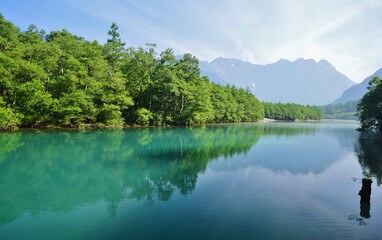 新緑の上高地・大正池