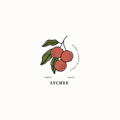 Line art lychee branch drawing