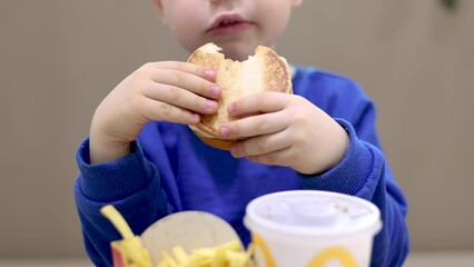 adorable cute preschooler boy child eating junk food and drink unhealthy beverage.kid eat fried potatoes, nuggets and hamburger drinking with straw