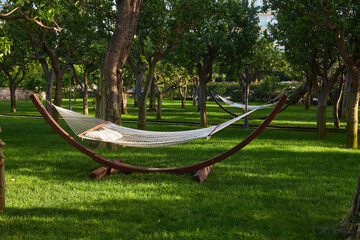Beautiful landscape with hammock in the summer garden, sunny day.