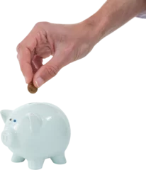 Gardinen Cropped hand of person inserting coin in piggy bank © vectorfusionart