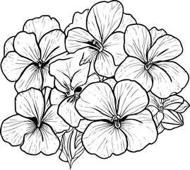 sketch contour bouquet of pansy flowers, Sketch violet flower drawing, flower cluster drawing, Easy flower coloring pages, flower coloring page for kids, purple pansies drawing.   
