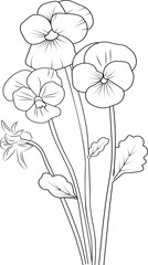 pansy flower pencil art, Black and white outline vector coloring page and book for adults and children flowers pansy, with leaves hand drawn engraved ink illustration artistic design. pansy flower