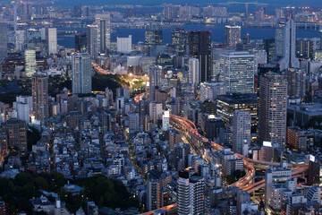 Night aerial view of Tokyo, Japan. Tokyo urban city view from above