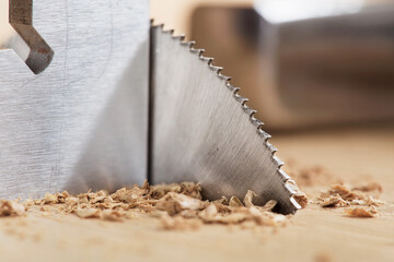 Circular saw cutting wooden plank. Circular milling in oak block.