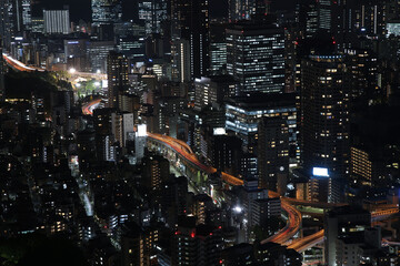 Naklejka premium Night aerial view of Tokyo, Japan. Tokyo urban city view from above