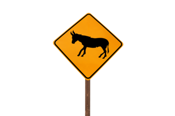 Wild burro sign isolated with cut out background.