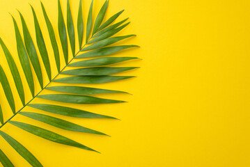 Embrace the summertime with this bright and vibrant top view flat lay photo featuring lush green palm leaves on a sunny yellow background with blank space