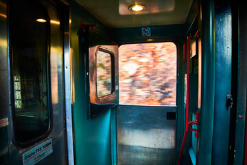 window in green moving train , chepe train in copper canyon chihuahua 