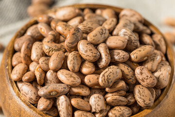 Dry Organic Raw Pinto Beans