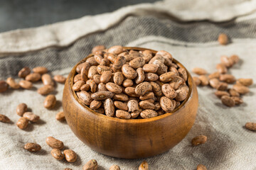 Dry Organic Raw Pinto Beans