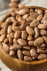 Dry Organic Raw Pinto Beans