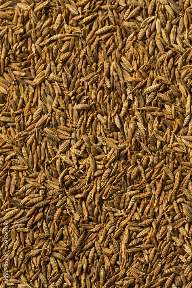 Sticker Dry Organic Raw Cumin Seeds