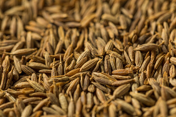 Dry Organic Raw Cumin Seeds