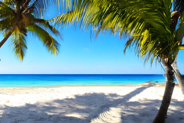 Relax on the beach with palm tree, room for copy, background