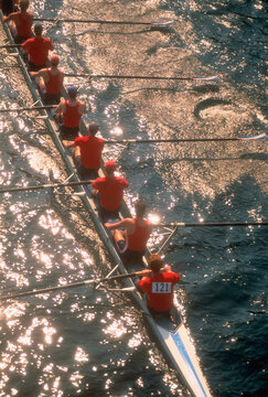 Overhead View of Men Rowing Trent Canal, Ontario, Canada