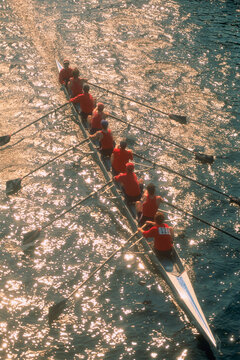 Overhead View of Men Rowing Trent Canal, Ontario, Canada